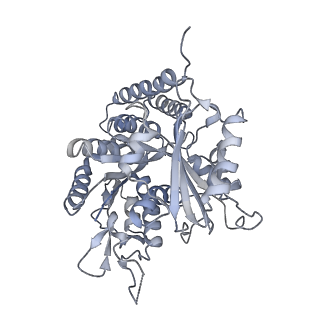 0615_6o2t_4F_v1-3
Acetylated Microtubules