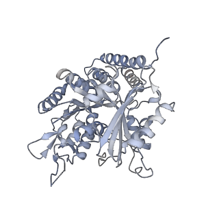0615_6o2t_4G_v1-2
Acetylated Microtubules