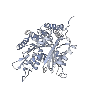 0615_6o2t_4G_v1-3
Acetylated Microtubules