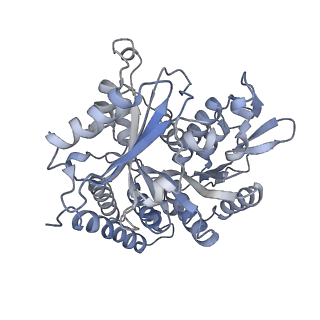 0615_6o2t_4H_v1-3
Acetylated Microtubules