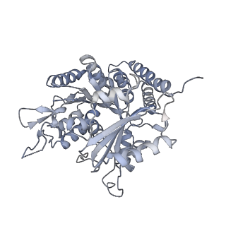 0615_6o2t_4I_v1-3
Acetylated Microtubules