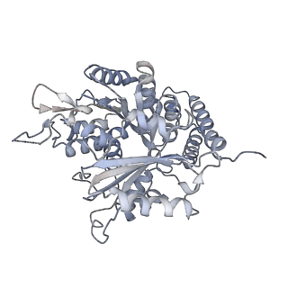 0615_6o2t_4J_v1-3
Acetylated Microtubules