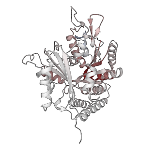 0615_6o2t_4M_v1-3
Acetylated Microtubules