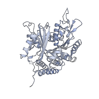 0615_6o2t_4N_v1-3
Acetylated Microtubules