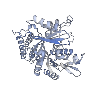 0615_6o2t_4P_v1-2
Acetylated Microtubules