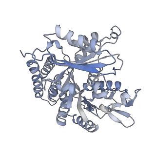 0615_6o2t_4P_v1-3
Acetylated Microtubules