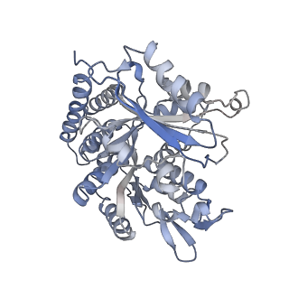 0615_6o2t_4Q_v1-3
Acetylated Microtubules