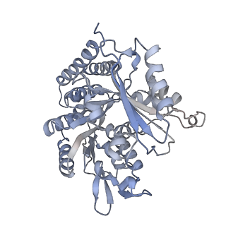 0615_6o2t_4R_v1-3
Acetylated Microtubules