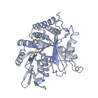 0615_6o2t_4S_v1-3
Acetylated Microtubules