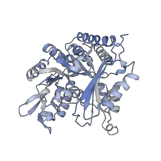 0615_6o2t_4T_v1-3
Acetylated Microtubules