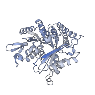 0615_6o2t_4U_v1-3
Acetylated Microtubules