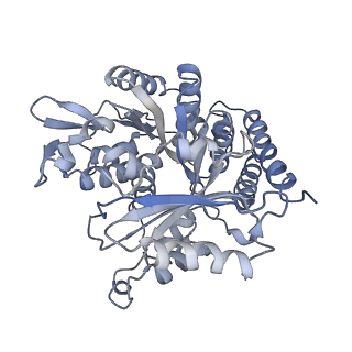 0615_6o2t_4V_v1-3
Acetylated Microtubules