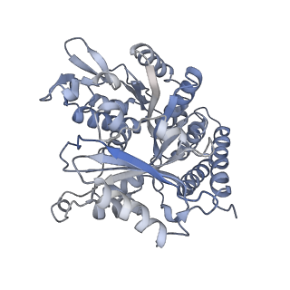 0615_6o2t_4W_v1-3
Acetylated Microtubules