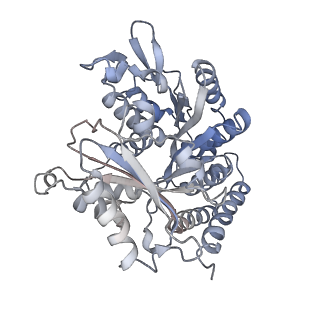 0615_6o2t_4X_v1-3
Acetylated Microtubules