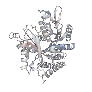 0615_6o2t_4Y_v1-3
Acetylated Microtubules