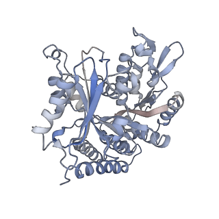 0615_6o2t_4Z_v1-3
Acetylated Microtubules