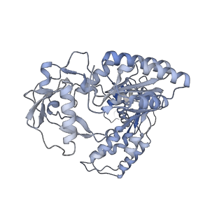 12698_7o24_A_v1-1
Structure of the foamy viral protease-reverse transcriptase in complex with dsDNA.