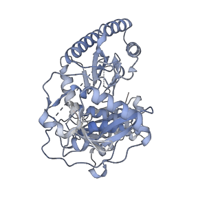 12698_7o24_B_v1-1
Structure of the foamy viral protease-reverse transcriptase in complex with dsDNA.