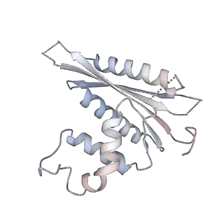 12698_7o24_C_v1-1
Structure of the foamy viral protease-reverse transcriptase in complex with dsDNA.