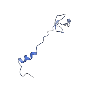 3730_5o2r_0_v1-3
Cryo-EM structure of the proline-rich antimicrobial peptide Api137 bound to the terminating ribosome