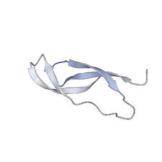 3730_5o2r_1_v1-3
Cryo-EM structure of the proline-rich antimicrobial peptide Api137 bound to the terminating ribosome