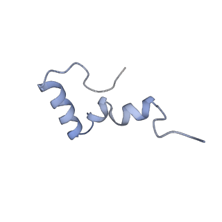 3730_5o2r_2_v1-3
Cryo-EM structure of the proline-rich antimicrobial peptide Api137 bound to the terminating ribosome