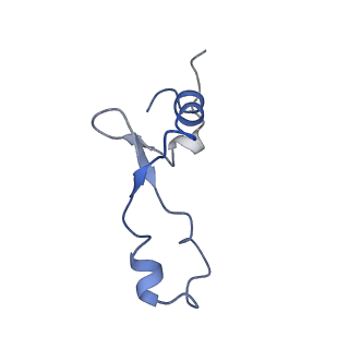 3730_5o2r_3_v1-3
Cryo-EM structure of the proline-rich antimicrobial peptide Api137 bound to the terminating ribosome