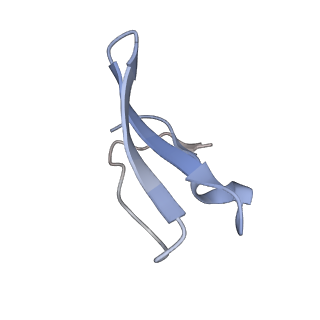 3730_5o2r_4_v1-3
Cryo-EM structure of the proline-rich antimicrobial peptide Api137 bound to the terminating ribosome