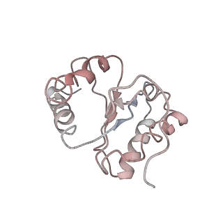 3730_5o2r_5_v1-3
Cryo-EM structure of the proline-rich antimicrobial peptide Api137 bound to the terminating ribosome
