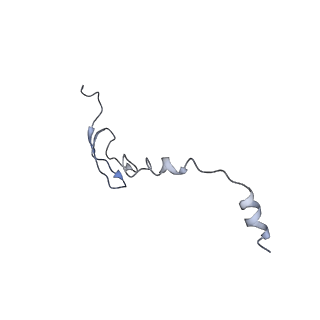 3730_5o2r_6_v1-3
Cryo-EM structure of the proline-rich antimicrobial peptide Api137 bound to the terminating ribosome