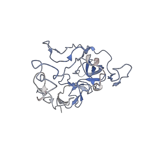 3730_5o2r_C_v1-3
Cryo-EM structure of the proline-rich antimicrobial peptide Api137 bound to the terminating ribosome