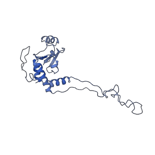 3730_5o2r_E_v1-3
Cryo-EM structure of the proline-rich antimicrobial peptide Api137 bound to the terminating ribosome