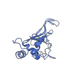 3730_5o2r_F_v1-3
Cryo-EM structure of the proline-rich antimicrobial peptide Api137 bound to the terminating ribosome