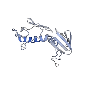 3730_5o2r_G_v1-3
Cryo-EM structure of the proline-rich antimicrobial peptide Api137 bound to the terminating ribosome
