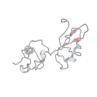 3730_5o2r_I_v1-3
Cryo-EM structure of the proline-rich antimicrobial peptide Api137 bound to the terminating ribosome