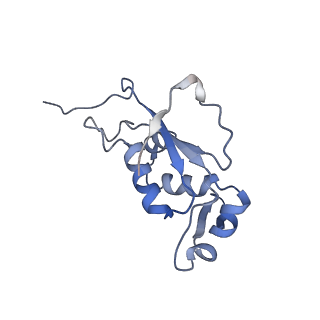 3730_5o2r_J_v1-3
Cryo-EM structure of the proline-rich antimicrobial peptide Api137 bound to the terminating ribosome