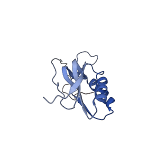 3730_5o2r_M_v1-3
Cryo-EM structure of the proline-rich antimicrobial peptide Api137 bound to the terminating ribosome