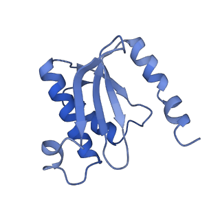 3730_5o2r_O_v1-3
Cryo-EM structure of the proline-rich antimicrobial peptide Api137 bound to the terminating ribosome