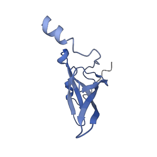 3730_5o2r_P_v1-3
Cryo-EM structure of the proline-rich antimicrobial peptide Api137 bound to the terminating ribosome