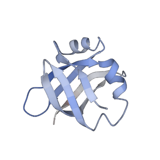 3730_5o2r_V_v1-3
Cryo-EM structure of the proline-rich antimicrobial peptide Api137 bound to the terminating ribosome