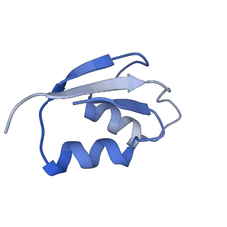 3730_5o2r_Z_v1-3
Cryo-EM structure of the proline-rich antimicrobial peptide Api137 bound to the terminating ribosome