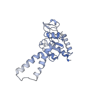 3730_5o2r_b_v1-3
Cryo-EM structure of the proline-rich antimicrobial peptide Api137 bound to the terminating ribosome