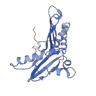 3730_5o2r_c_v1-3
Cryo-EM structure of the proline-rich antimicrobial peptide Api137 bound to the terminating ribosome