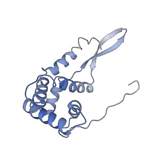 3730_5o2r_g_v1-3
Cryo-EM structure of the proline-rich antimicrobial peptide Api137 bound to the terminating ribosome