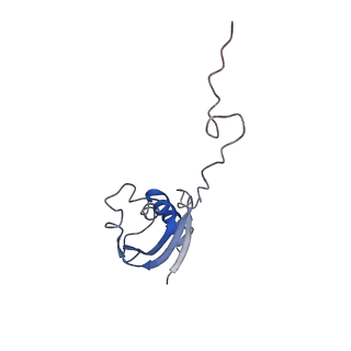 3730_5o2r_i_v1-3
Cryo-EM structure of the proline-rich antimicrobial peptide Api137 bound to the terminating ribosome