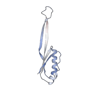 3730_5o2r_j_v1-3
Cryo-EM structure of the proline-rich antimicrobial peptide Api137 bound to the terminating ribosome