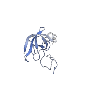 3730_5o2r_l_v1-3
Cryo-EM structure of the proline-rich antimicrobial peptide Api137 bound to the terminating ribosome