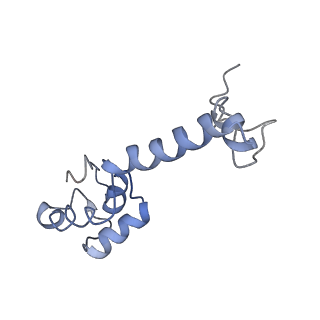 3730_5o2r_m_v1-3
Cryo-EM structure of the proline-rich antimicrobial peptide Api137 bound to the terminating ribosome