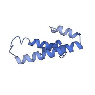3730_5o2r_o_v1-3
Cryo-EM structure of the proline-rich antimicrobial peptide Api137 bound to the terminating ribosome