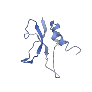 3730_5o2r_p_v1-3
Cryo-EM structure of the proline-rich antimicrobial peptide Api137 bound to the terminating ribosome